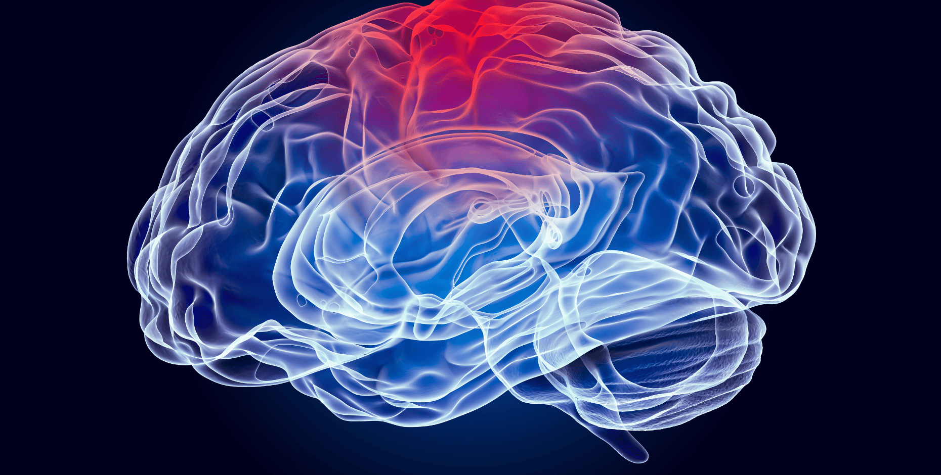 A brain drawing to signify concussion effects